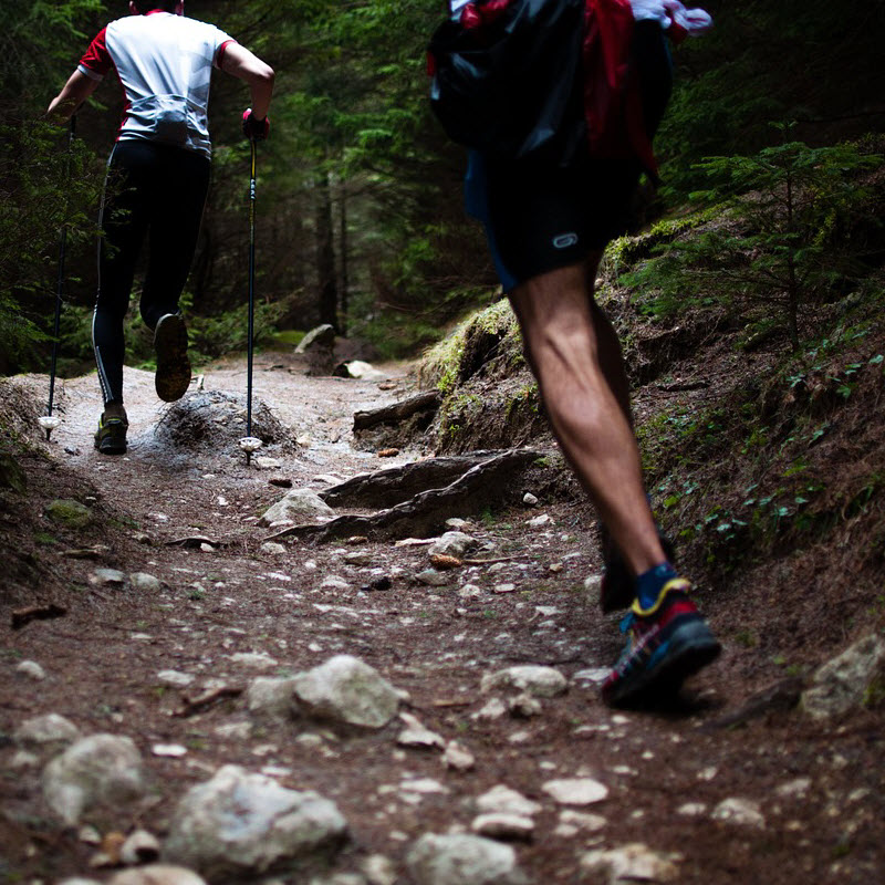 Picture of Person, Walking, Path, Hiking, Nature, Outdoors, Trail, Adult, Female, Woman
