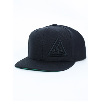3-D Embroidered Snapback Hat (Black)