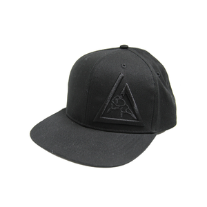 3-D Embroidered Snapback Hat (Black)