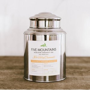 Double Lidded Stainless Steel Canister (3 lb - 11"hx7.5"d)