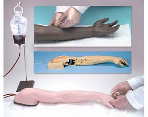 Life Form Advanced Venipuncture and Injection Arm - White < Nasco #LF01121U 
