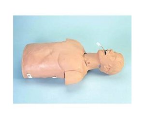 Replacement Lung/Stomach, ALS/BLS, Pack/3 < simulaids #072 
