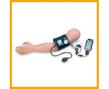 Blood Pressure Arm Simulator