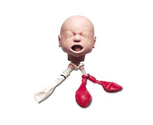 Life form Infant Airway Head Trainer