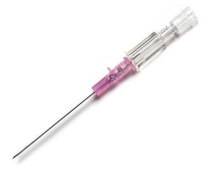Introcan Safety IV Catheter PUR 20G x 1" (Straight) , Case of 200 < B Braun #4251652-02 