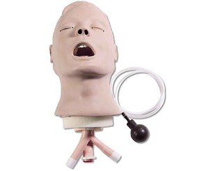 Life form Airway Larry Adult Airway Management Trainer Head
