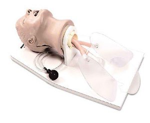 Life form Airway Larry Adult Airway Management Trainer w/ Stand