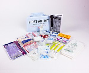 Basic ANSI Compliant First Aid Kit < EverReady 
