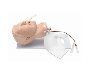 Deluxe Airway Management Trainer w/ Board, Adult < simulaids #502 