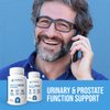 Prostate function support