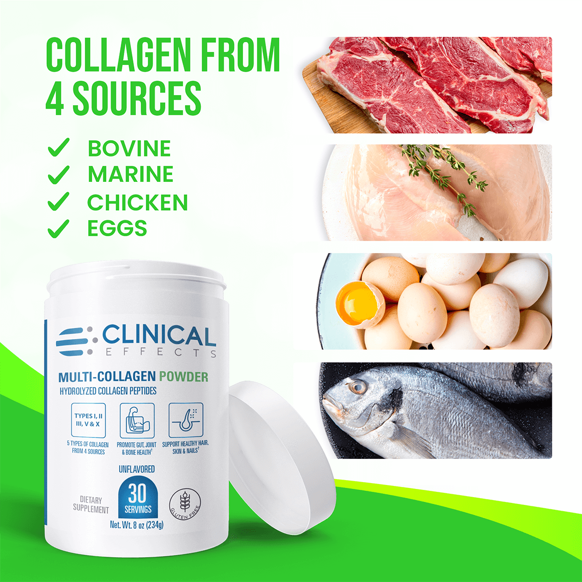 Collagen from four sources