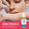 Citrus stem cells