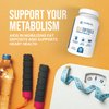 Supports metabolism
