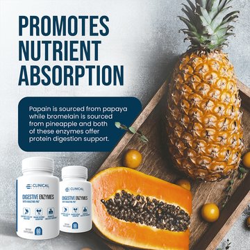 Best Digestive Enzymes With Probiotics By Clinical Effects