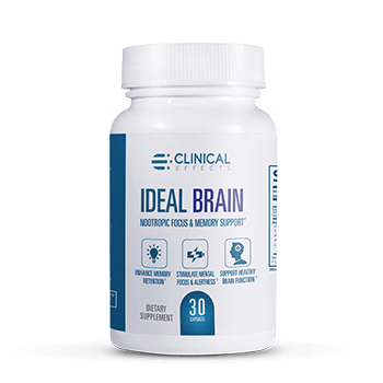 Ideal Brain