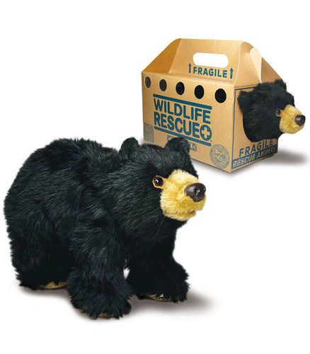 Picture of Animal, Bear, Mammal, Wildlife, Teddy Bear, Toy with text FRAGILE WILDLIFE RESCUE+ LD.