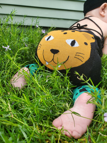 Picture of Grass, Lawn, Baby, Person, Portrait