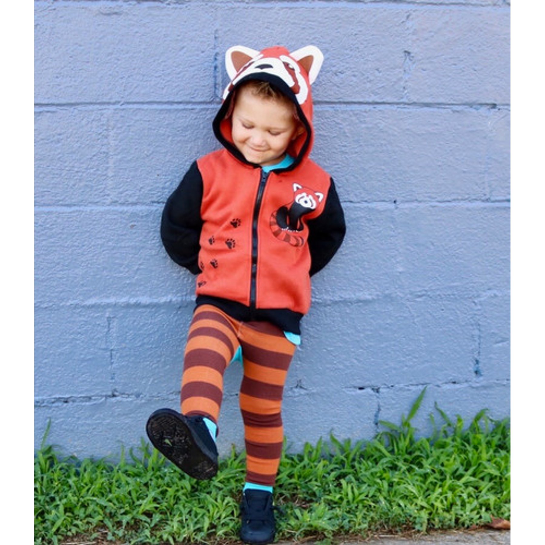 Red Panda 3D Hoodie | Doodle Pants