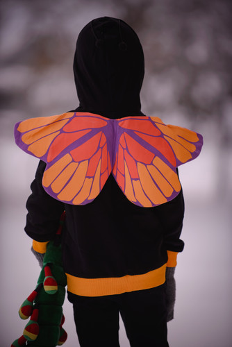 Picture of Hoodie, Knitwear, Sweater, Sweatshirt, Hood, Coat, Person, Jacket