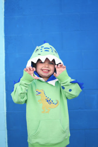 Dino Hoodie