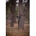 Picture of Vegetation, Boy, Child, Male, Person, Weapon, Grove, Tree, Woodland, Bow