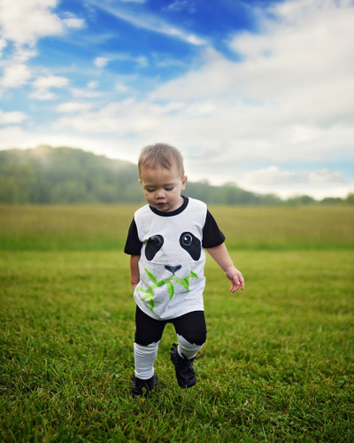Picture of Grass, T-Shirt, Person, Photography, Portrait, Grassland, Boy, Child, Male, Lawn