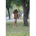 Picture of Shorts, Grass, Hat, Tree, Tree Trunk, Lawn, Boy, Child, Male, Person