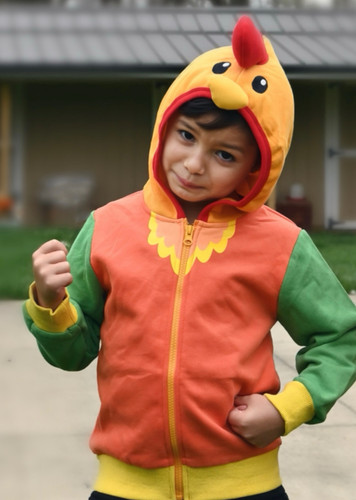 Boy in the rooster hoodie with hood up