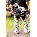 Picture of Pants, Shorts, Boy, Child, Male, Person, T-Shirt, Shoe