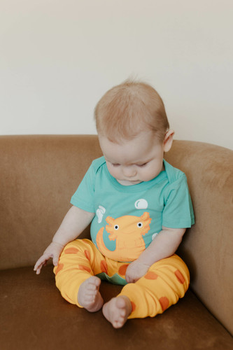 Picture of Face, Head, Person, Photography, Portrait, Sitting, Baby, Finger, Couch