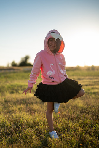Picture of Skirt, Grass, Person, Photography, Portrait, Child, Female, Girl, Sweater, Sweatshirt
