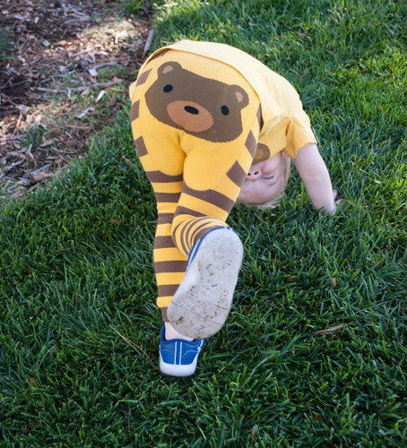 Picture of Grass, Person, Photography, Portrait, Boy, Child, Male, Lawn, Shoe