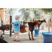 Picture of Boy, Child, Male, Person, Livestock, Animal, Cow, Mammal, Goat, Shorts