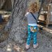 Picture of Pants, Tree, Child, Female, Girl, Person, Jeans, Wood, Shoe, Tree Trunk