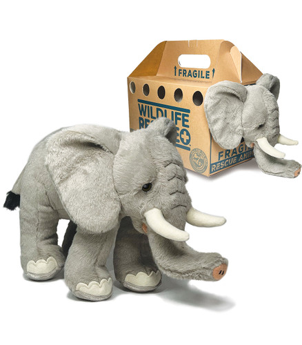 Picture of Bear, Mammal, Wildlife, Elephant, Plush, Toy, Cardboard, Box, Carton with text WILD IFE I...