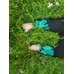 Picture of Grass, Lawn, Glove, Baby, Person, Barefoot, Outdoors