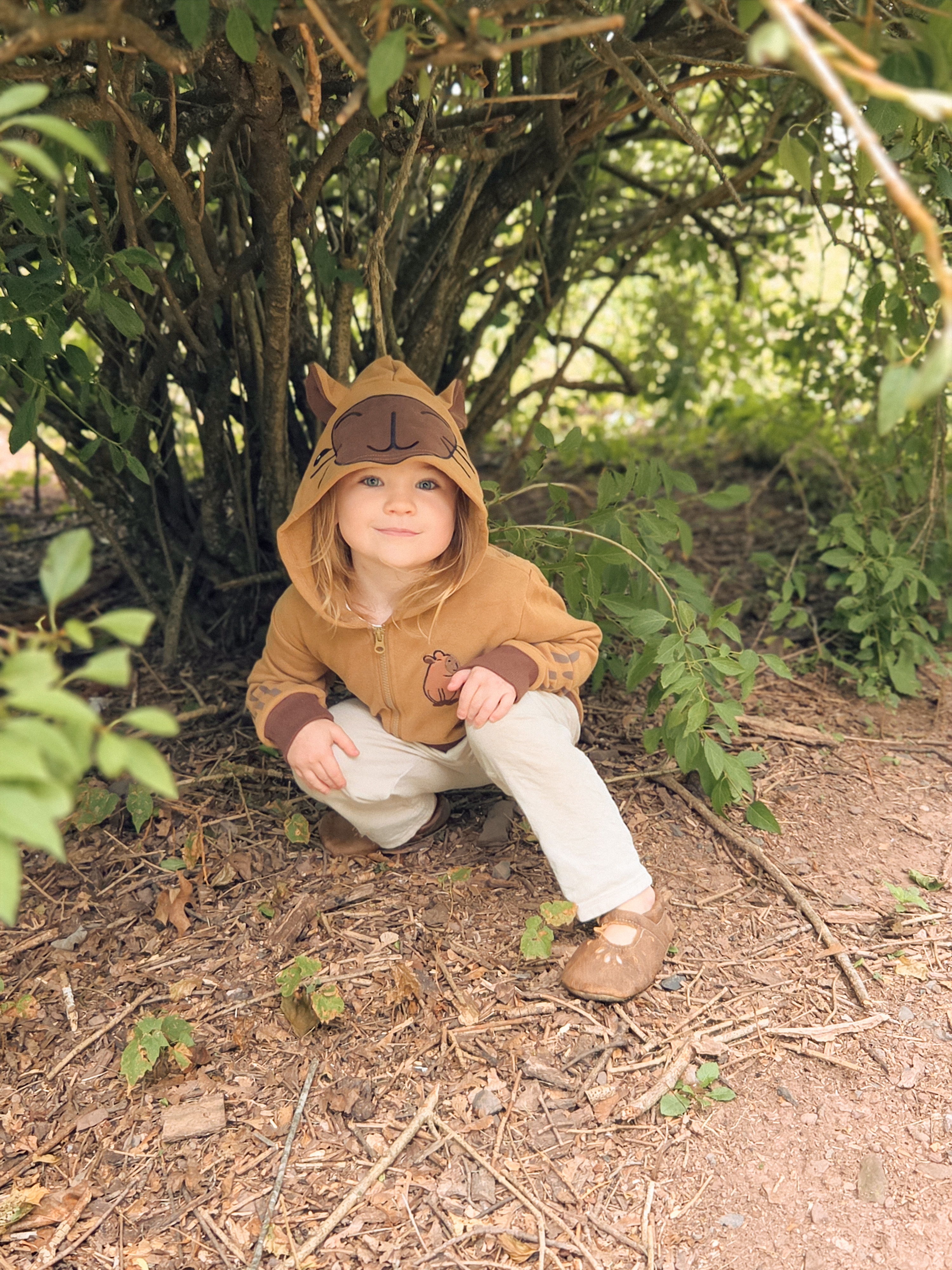 Capybara Hoodie