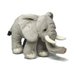 Picture of Animal, Bear, Mammal, Wildlife, Elephant, Plush, Toy