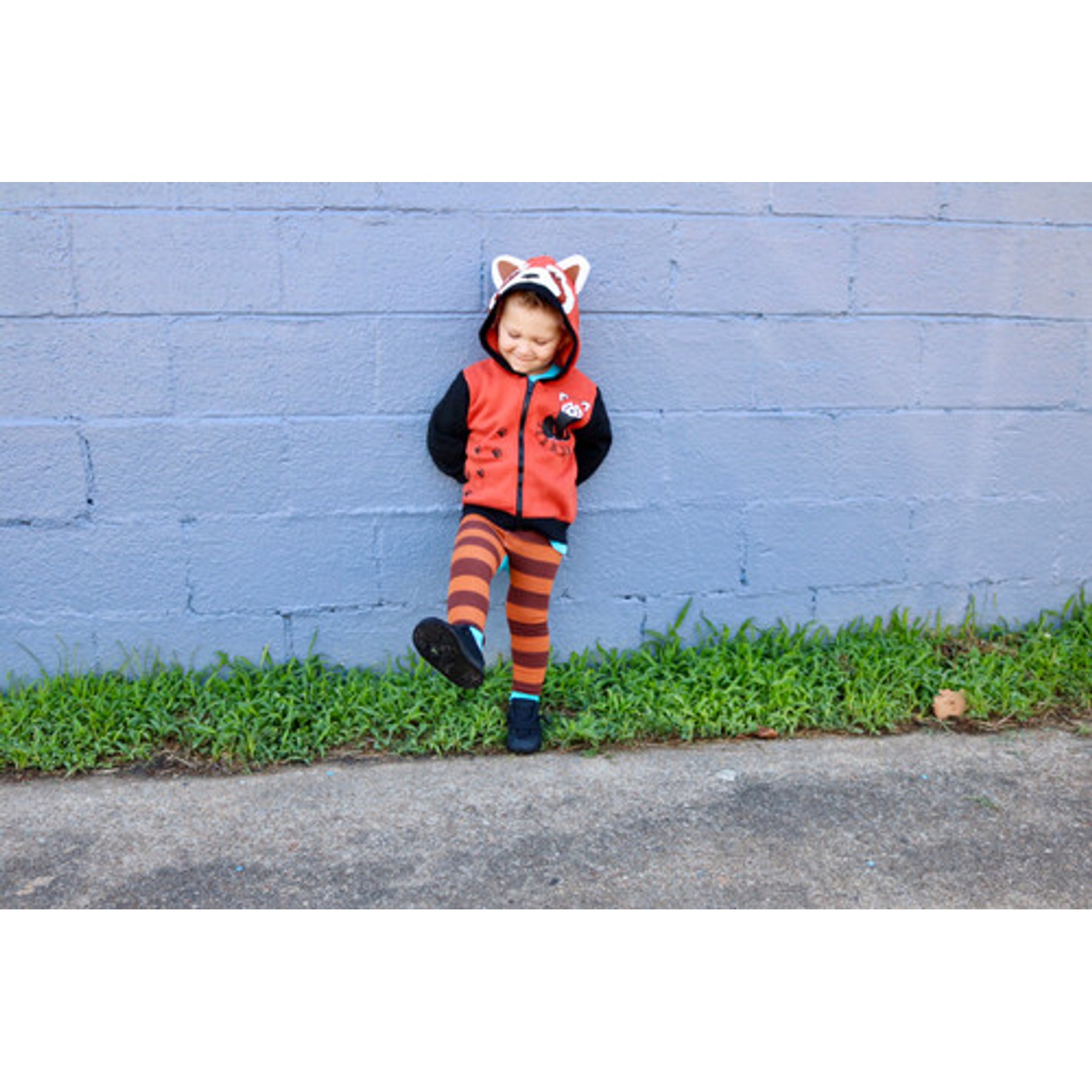 Red Panda 3D Hoodie | Doodle Pants