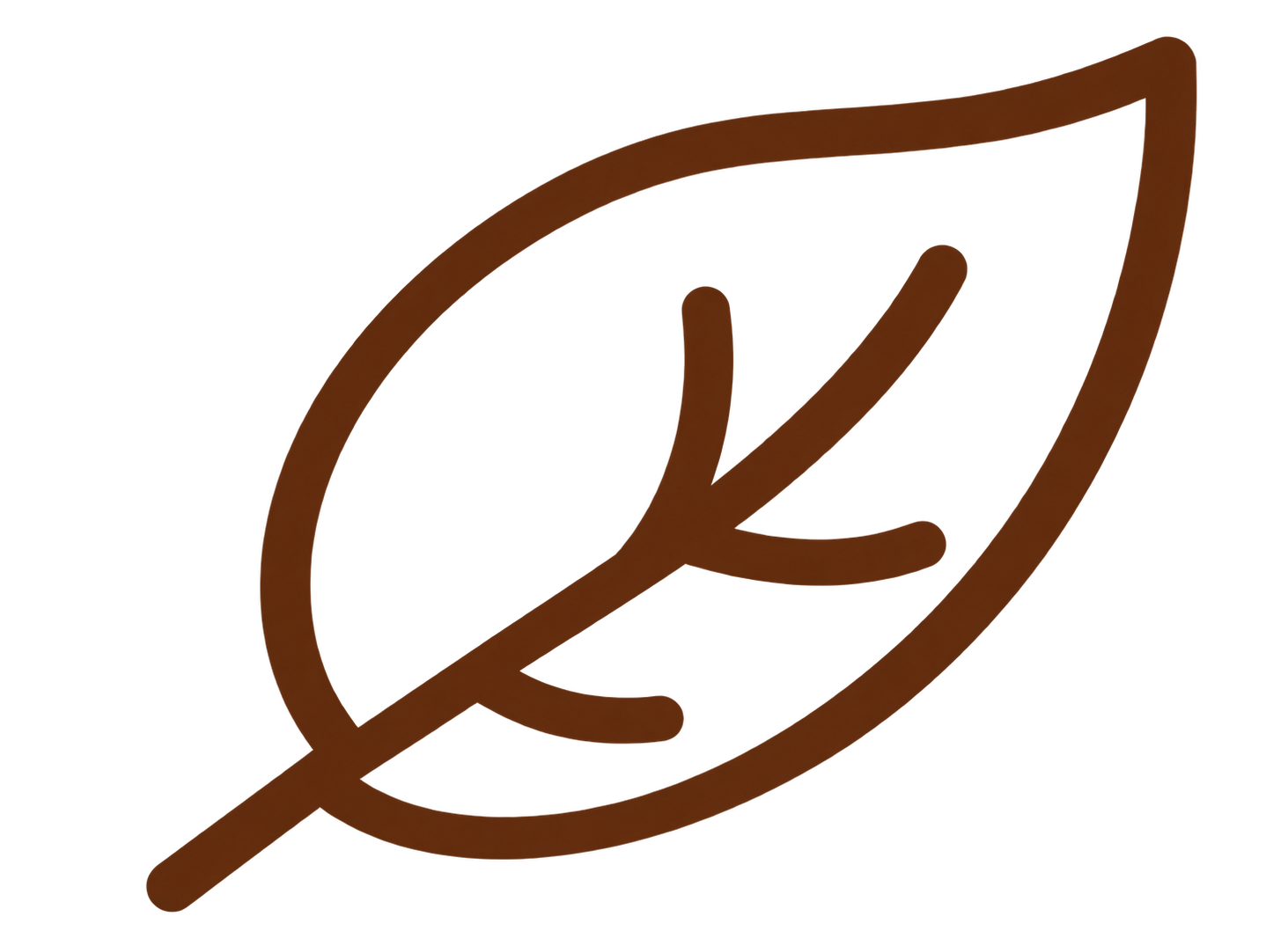 Leaf icon