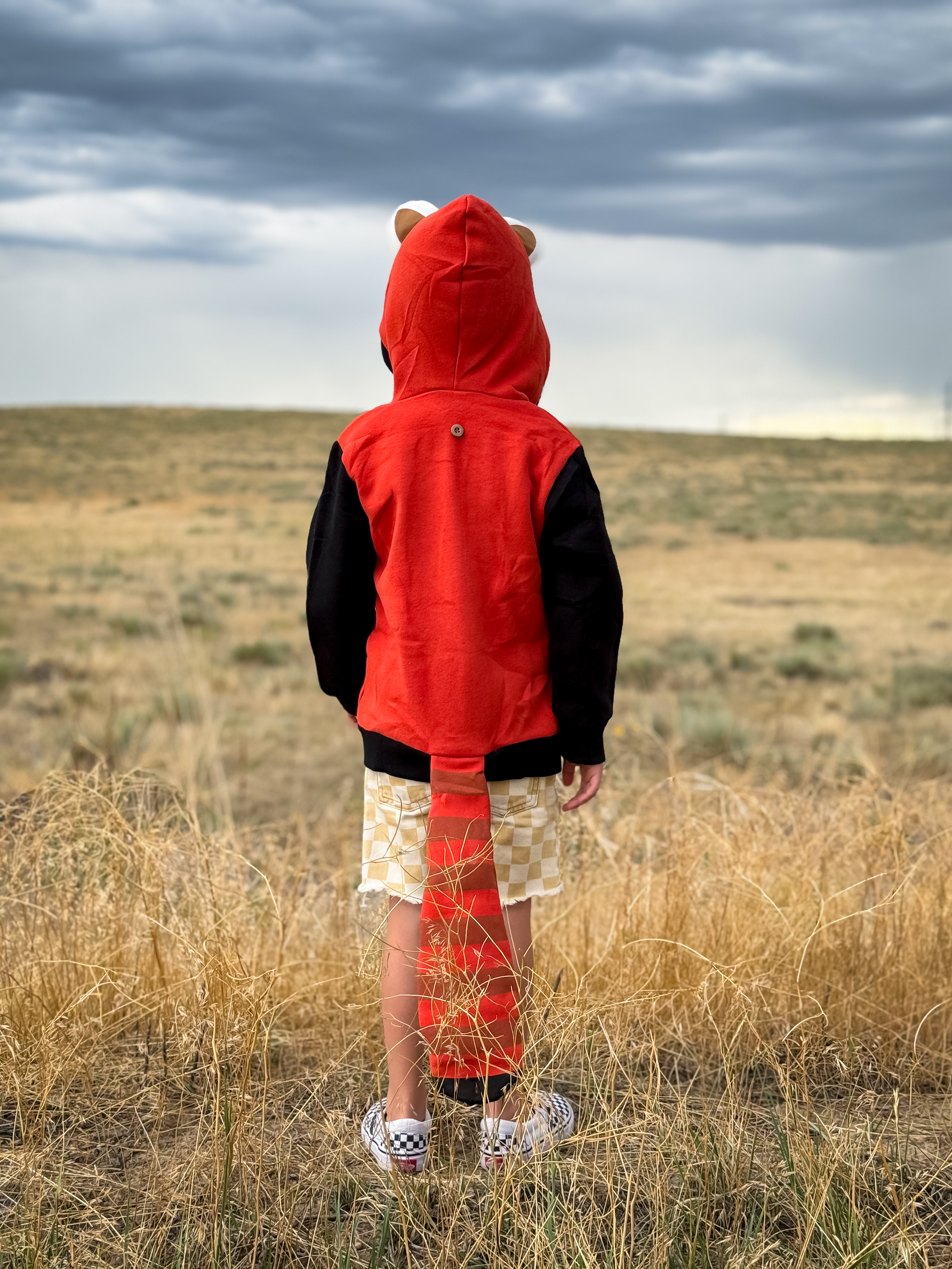 Red Panda Hoodie