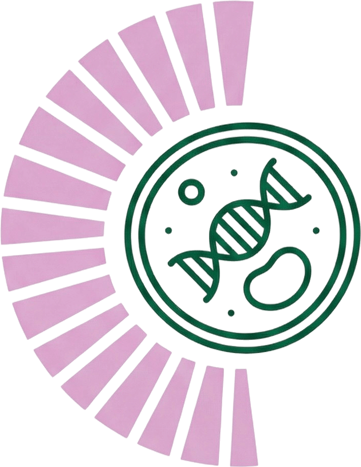 Illustration of cells