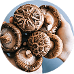 Fresh whole shiitake mushrooms held in hands, circular crop
