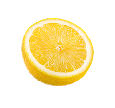 A slice of citrus fruit