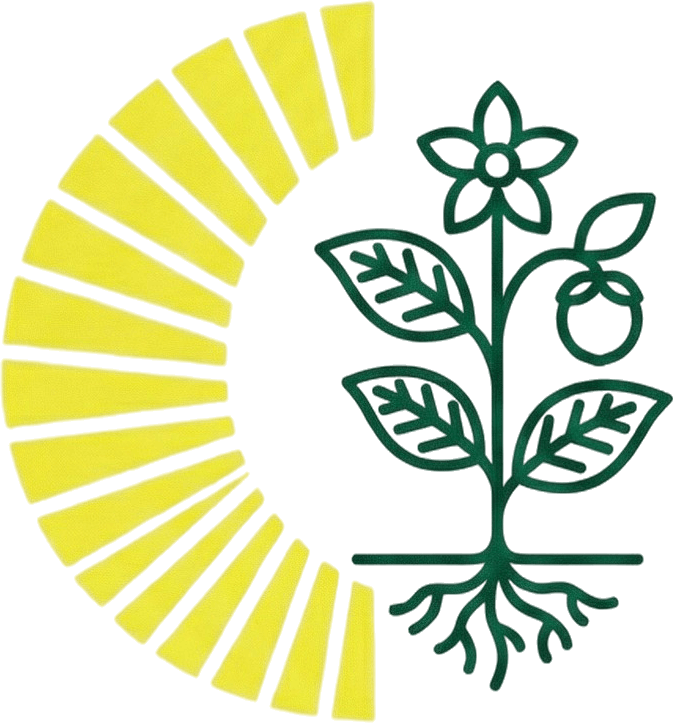 Illustration of pant and plant roots