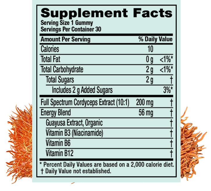 cordyceps supplement facts