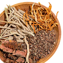 Assorted dried medicinal mushrooms and botanical ingredients arranged in a wooden bowl.