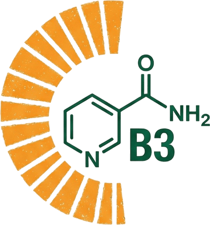 Illustration of vitamin B3