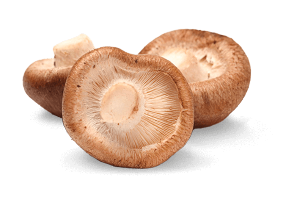 Image of Shiitake