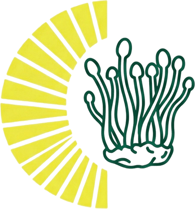 Cordyceps mushroom illustration with yellow sunburst design